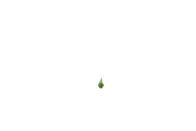 Load image into Gallery viewer, NMAKIT - Non Metallic Applicator Kit