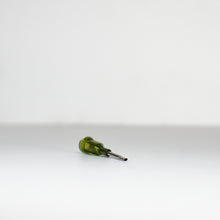 Load image into Gallery viewer, FNA14 - Flat Needle Applicator (FnA)